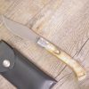 Coltello artigianale Arburesa in Corno Di Montone grezzo (23cm)