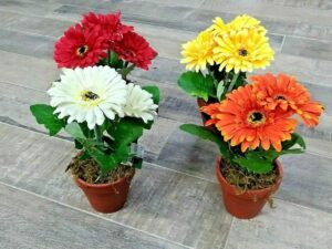 PIANTINA 26,5 CM Margherita IN VASO PIANTA ARTIFICIALE colori assortiti