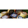 Queso pecorino semicurado 23 meses