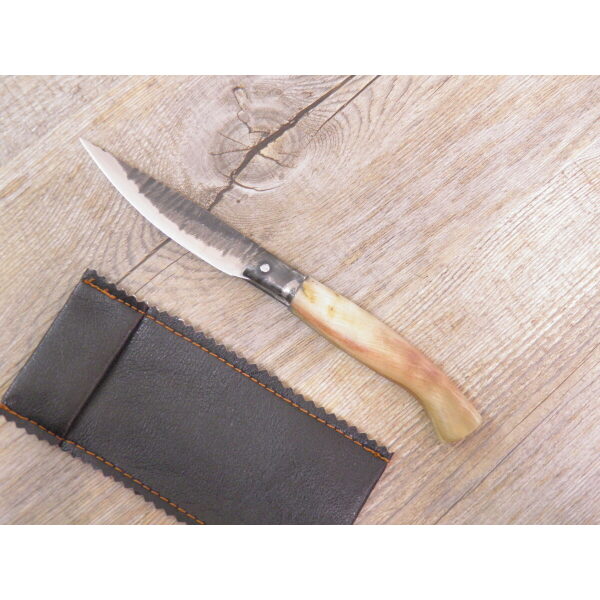 Handcrafted Arburesa Blade Forged Mouflon Horn Scanno Knife (20Cm) - Lady M Sardinia