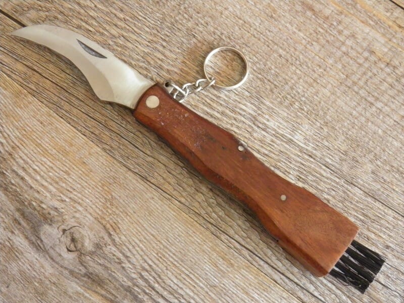 Cuchillo llavero para setas (21 cm)