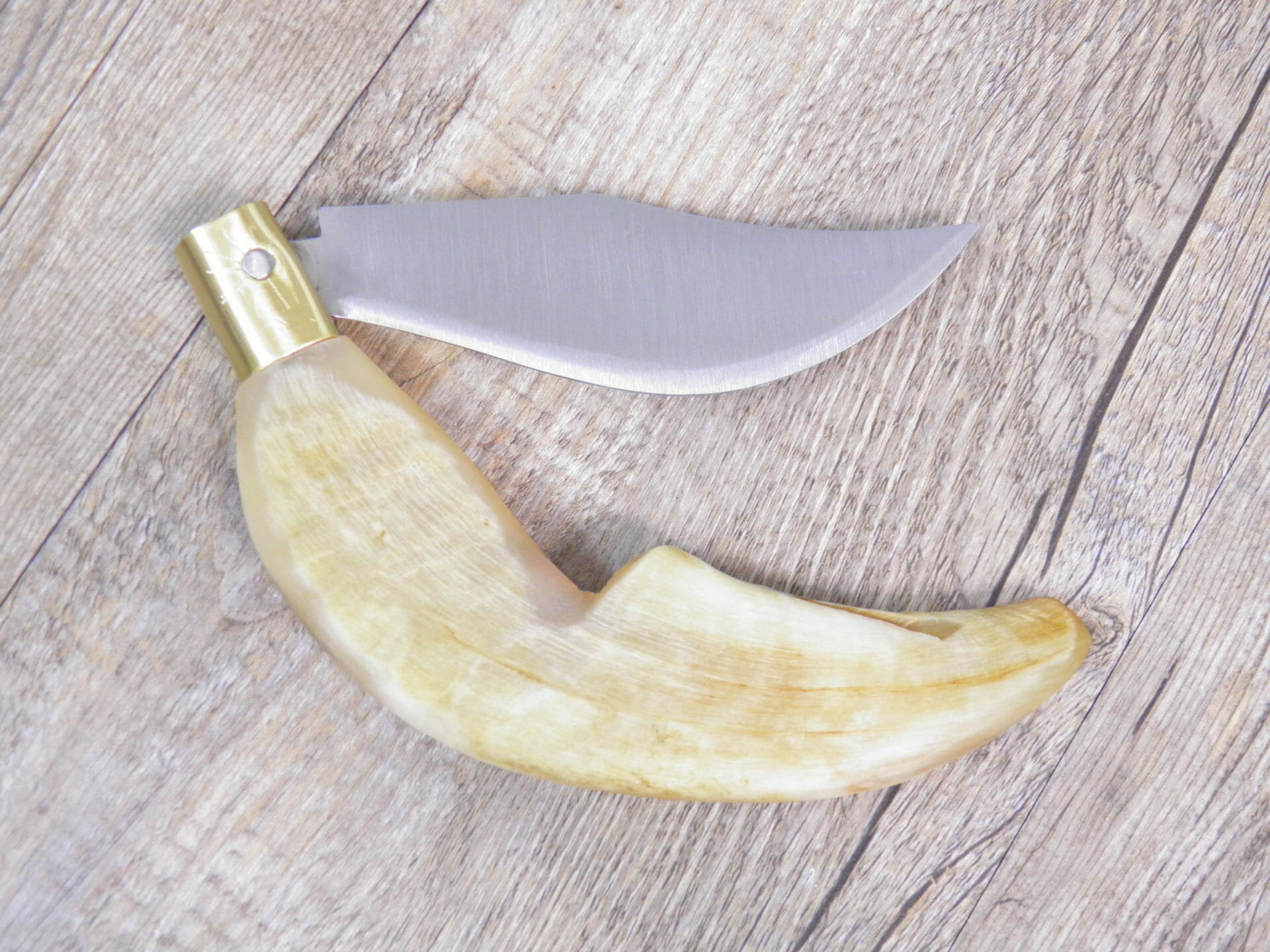 Olympus Digital Camera Handcrafted Arburesa Knife Raw Mouflon Horn Handle (24 cm) - Lady M Sardinia