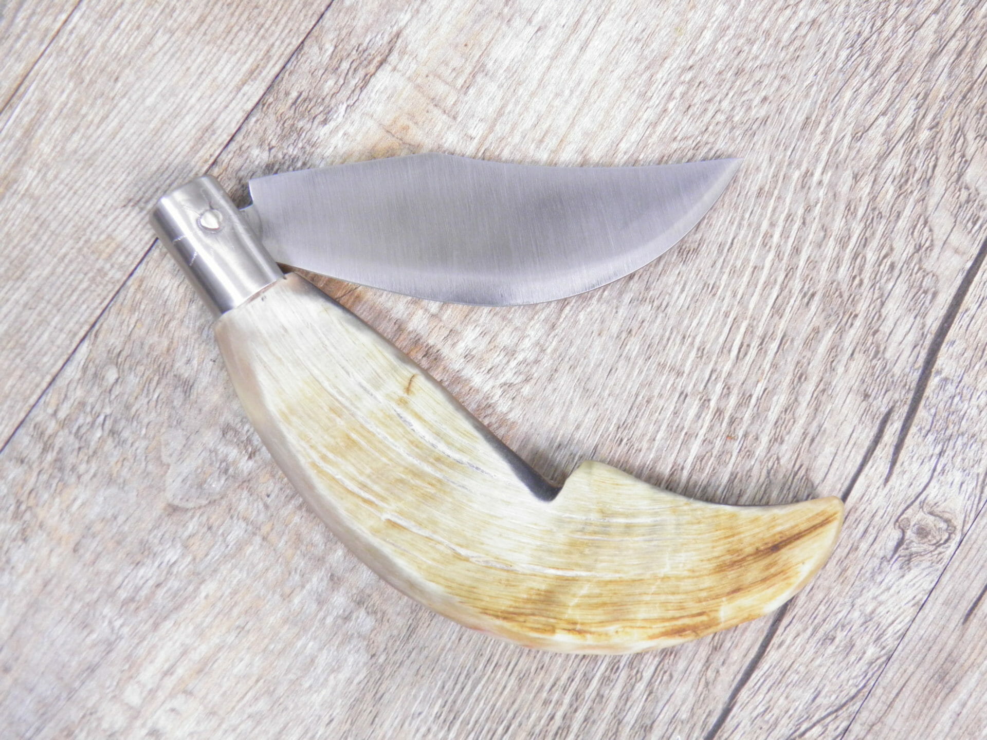 Olympus Digital Camera Handcrafted Arburesa Knife Raw Mouflon Horn Handle (21Cm) - Lady M Sardinia
