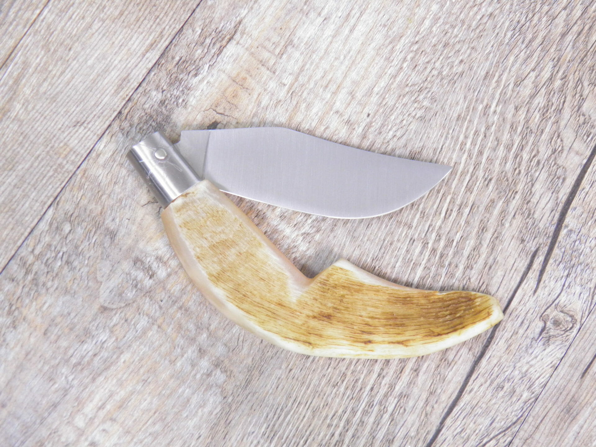 Handcrafted Arburesa Knife Raw Mouflon Horn Handle (19 cm) - Lady M Sardinia Handcrafted Arburesa Knife Raw Mouflon Horn Handle (19 cm) - Lady M Sardinia