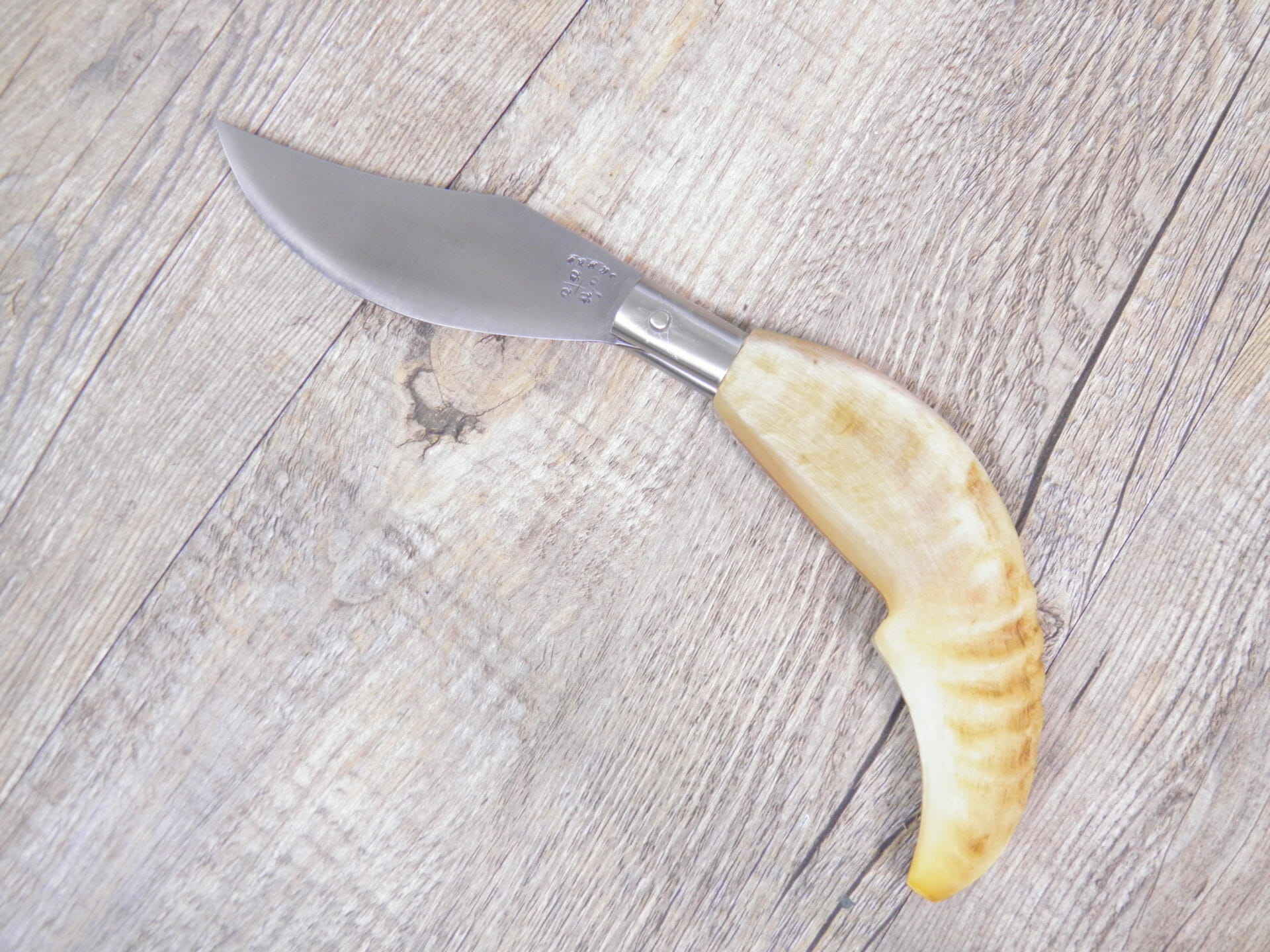 Handcrafted Arburesa Knife Raw Mouflon Horn Handle (21 cm) - Lady M Sardinia Coltello Artigianale Arburesa Manico In Corno Di Muflone Grezzo (21 Cm)