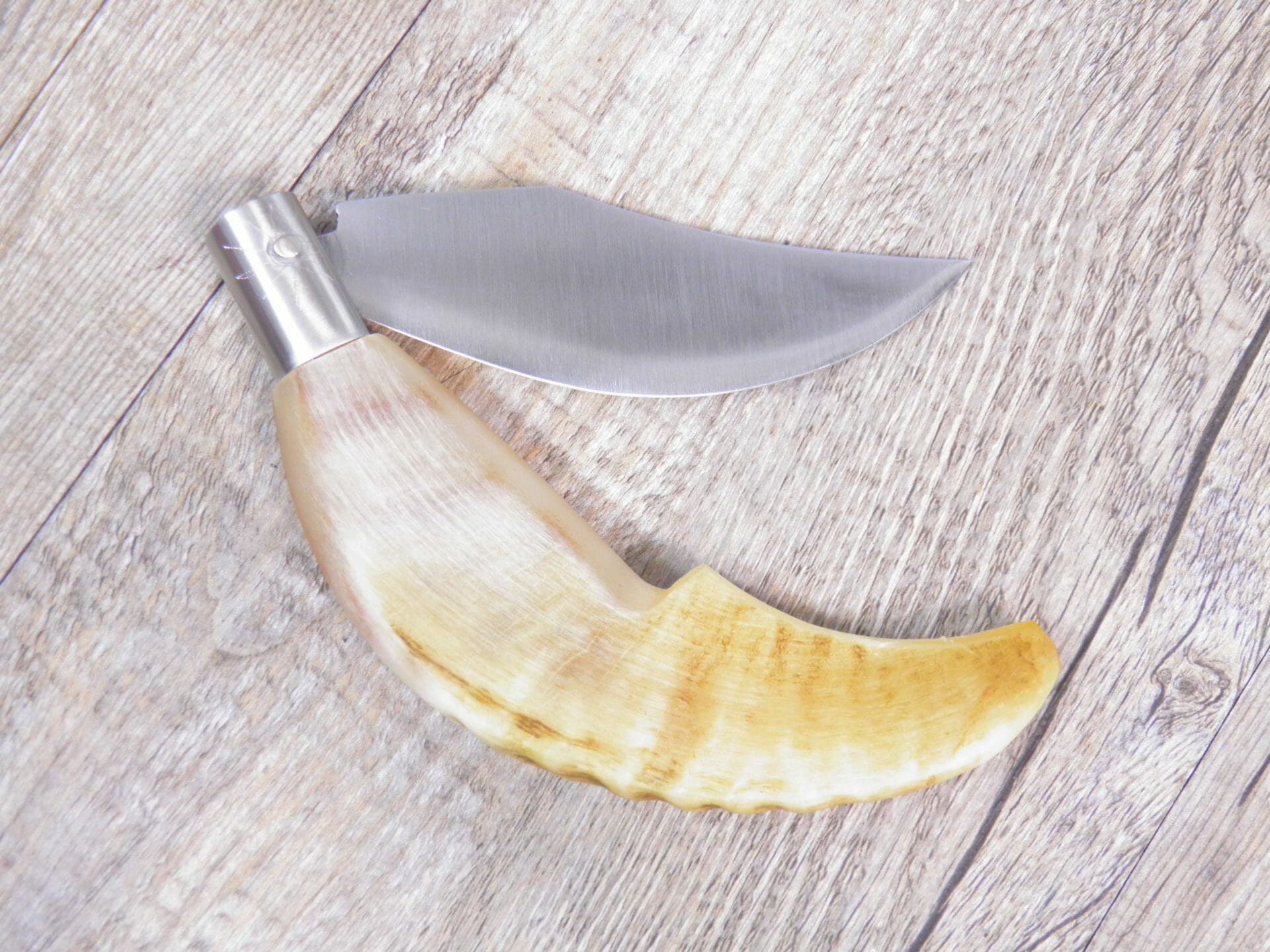 Olympus Digital Camera Handcrafted Arburesa Knife Raw Mouflon Horn Handle (21 cm) - Lady M Sardinia
