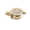 Tartaruga marina In resina  grande e piccola da appoggio caretta caretta
