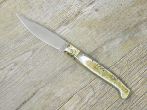 Coltello Pattada Pintus Manico in Corno Di Bue Grezzo (17cm)