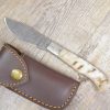 Arburesa knife handle In rough mouflon horn damask blade (18cm)