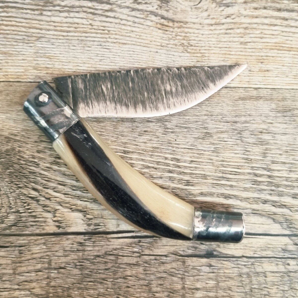 20260616_174322 Coltello Artigianale Arburesa In Montone Lama Forgiata Da Scuoio (18Cm) - Lady M Sardegna
