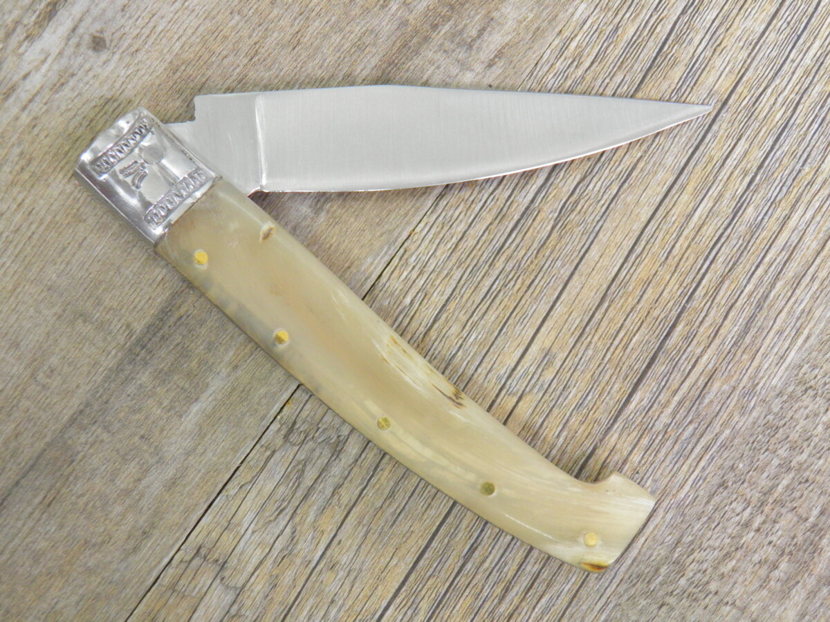 Cámara digital Olympus Coltello Tipo Pattada Manico In Corno Di Montone Grezzo (22Cm) - Lady M Sardegna