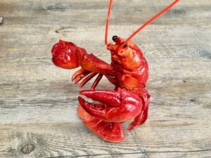 Aragosta Realistica Porta Bottiglia Linea Mare In Resina Casa Cucina Vino