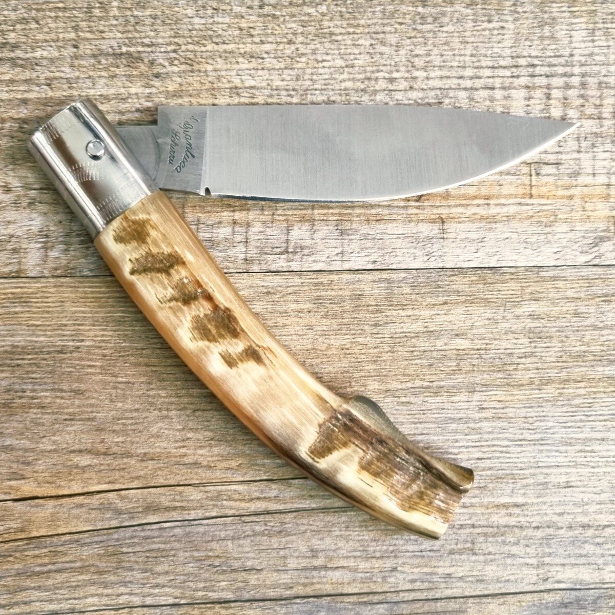 20261010_170348 Coltello Artigianale Manico In Corno Di Muflone Da Scanno (25 Cm) - Lady M Sardegna