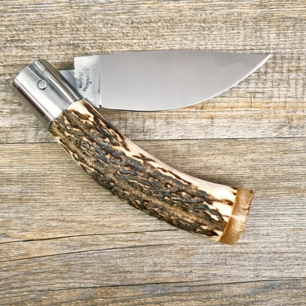 20261010_170500 Coltello Fatto A Mano Manico In Corno Di Cervo Da Scuoio (25 Cm) - Lady M Sardegna